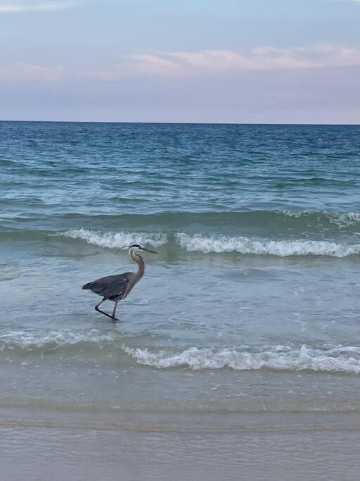 فيلا Gulf Breeze Tranquil Retreat المظهر الخارجي الصورة